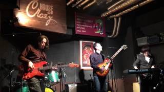 Mountain of Meat / Opps! I Spilled My Beer ( Cover by Levee Breaks )