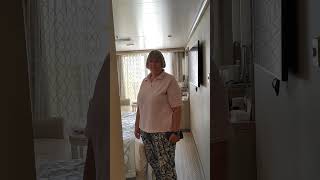 Join us for a quick look around our obstructed deluxe balcony E105 on Sky Princess #shorts