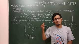 Animal kingdom: Phylum Coelenterata/Cnidaria in detail