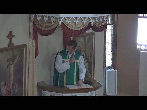 Priest in Tears! - Sunday Homily Fr. Jonathan Meyer 7.4.21