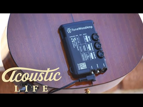 Tonewood Amp Review