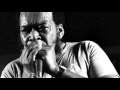 JAMES COTTON - River's Invitation [1968]