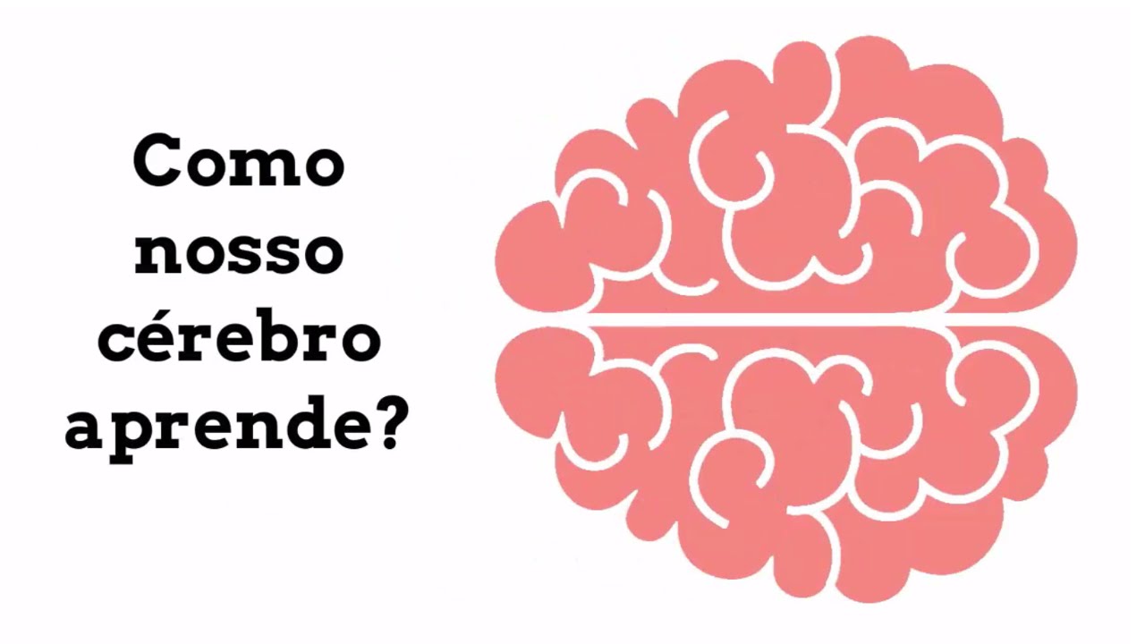 Como o nosso cérebro aprende?