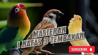 Download lagu Suara tembakan, 1 Nafas 3 lagu. #kicaumania #masteranmuraifullisian #kicaumanianusantara mp3 Download lagu Suara tembakan, 1 Nafas 3 lagu. #kicaumania #masteranmuraifullisian #kicaumanianusantara mp3