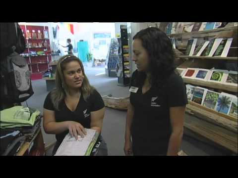 Uma carreira como consultor de informações ao visitante (JTJS22008)