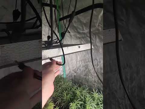 Mars Hydro - “I need a replacement cord for my light that went faulty
