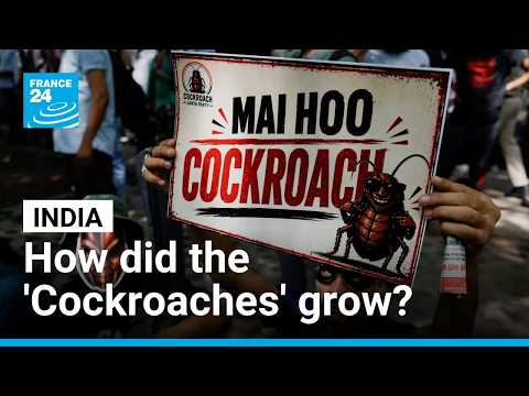 How the student 'Cockroach' movement grew its influence across India
