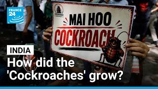 Indian students' 'Cockroach' satire movement pressures education minister to resign