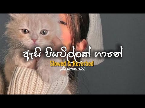 Labannata Wasanawak (ලබන්නට වාසනාවක්) - ( Slowed + Reverb ) | ( Athma Ganak )