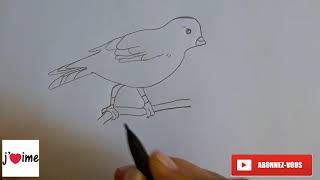 رسم سهل  طريقة رسم عصفور للاطفال  تعليم رسم الحيوانات - رسم 
