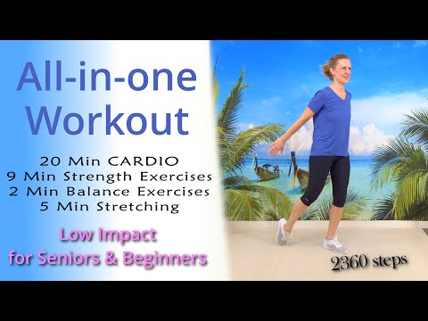 All in One Workout | Cardio, Strength, Balance, Stretching | Exercise for Seniors & Beginners