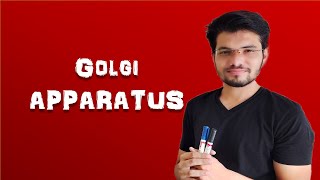 Golgi Apparatus | Cell: The Unit Of Life | Biology | Class 11 | Ch-8 L-8