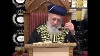 מרן הראש"ל פוסק הדור רבינו יצחק יוסף שליט"א בשיעורו השבועי ביזדים על הרפורמה המשפטית - צפו: