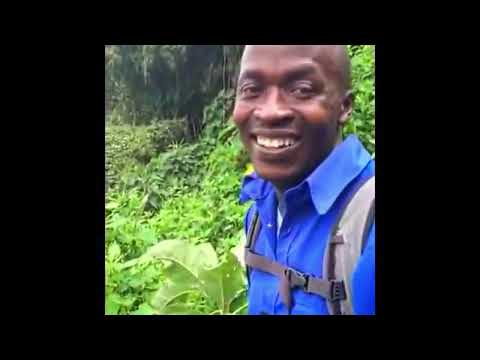 ★ Idiots on the road - ETS2MP - EP1  - Best moments