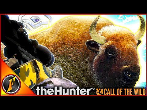 Twice the Maps, Twice the TROPHIES?!? | Bison Bonanza Mount Complete! ✅