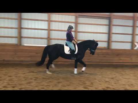 Sp Pr Dulce Rosa 2013 Mare by For Romance out of Jamaica