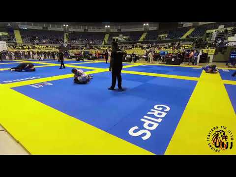 Torino Jiu Jitsu Challenge 2018 - marrone adulto medio massimo finale - Almeida vs Saliani