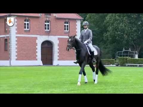 Fürst Belissaro 2015 (english)