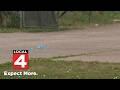 Oak Park Shooting Man Found Dead Inside Vehicle On Meyers Road