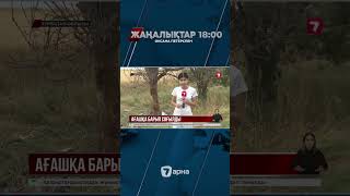 Түркістан облысында жол апатынан бір әулеттің 5 қызы көз жұмды