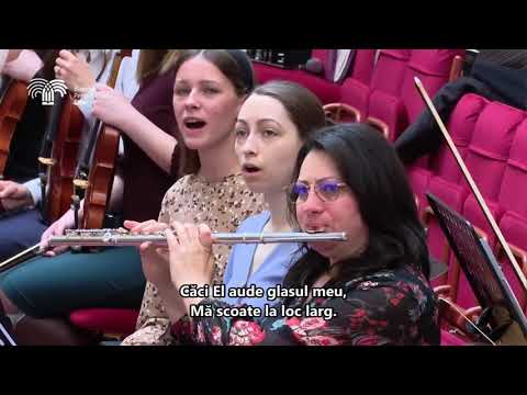 La umbra aripilor Tale - Orchestra bisericii Elim, Timișoara