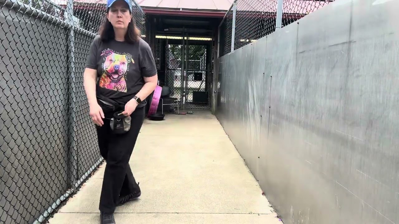 Sizzle video preview
