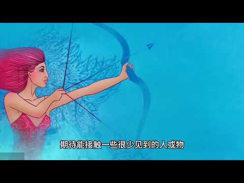 射手座工作