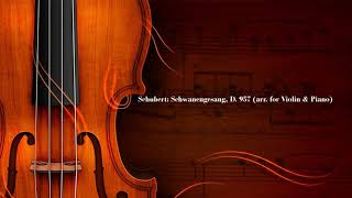 Franz Schubert - Serenade (Swan Song D 957) video