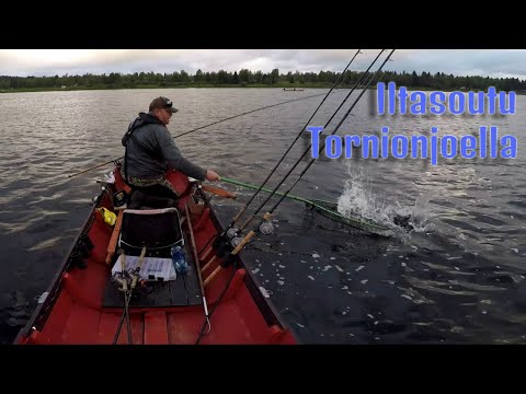 Iltasoutu Tornionjoella 10.8.2021