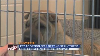 Animal shelters charging more for puppies, kittens