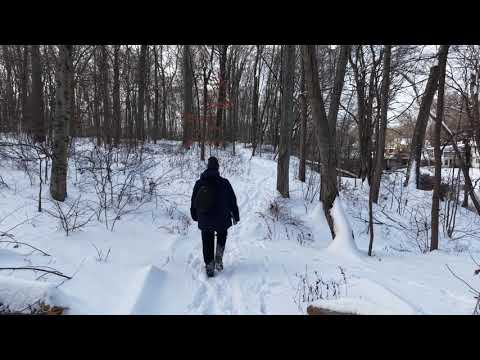 Was this the most expensive mistake I have ever made?!? A hike through the woods gone wrong!