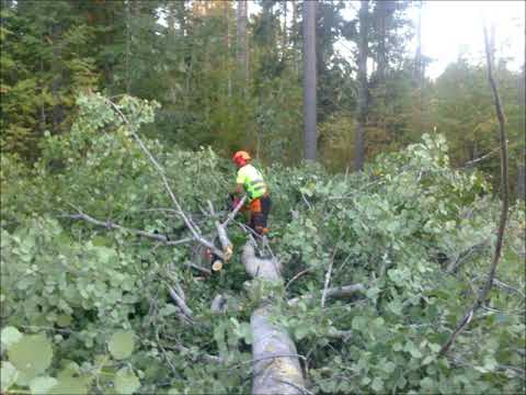 Podcast 3 osa 2 - karsintatekniikkaa