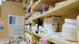 Virtual Tour - Colonial Heights Animal Hospital