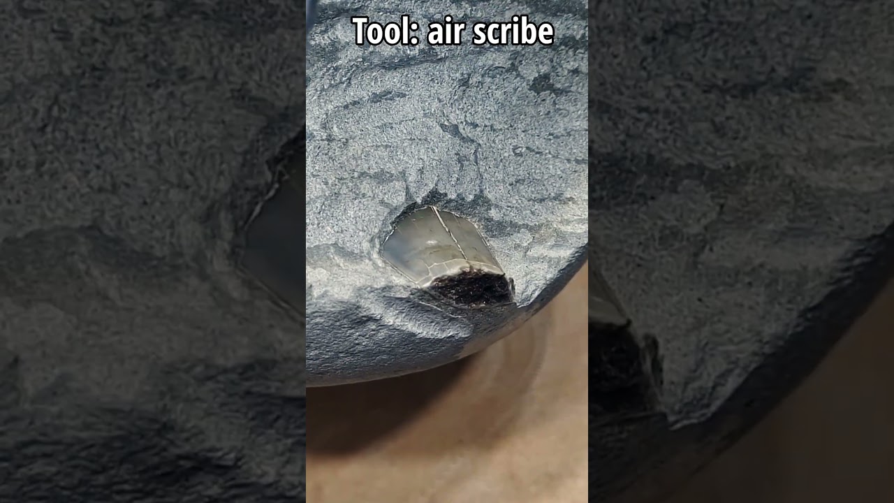 Let&#39;s solve a mystery, what fossil is sticking out the rock #fossil #rock #geology