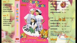 Download lagu Trio Kwek Kwek - Jangan Marah   Composer - Papa T. Bob (1996) mp3 Download lagu Trio Kwek Kwek - Jangan Marah   Composer - Papa T. Bob (1996) mp3