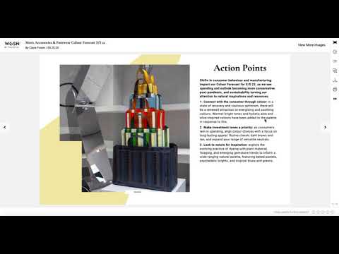 Color Forecasting on WGSN