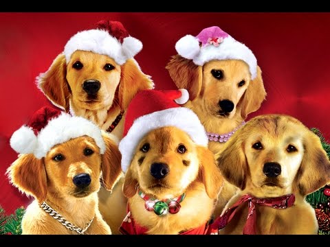 Tráiler Santa Buddies: Buscando las huellas de Santa [WEB-DL] 2009