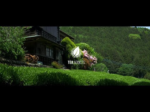 TEA ADDICTS - Unterwegs in Japan (Sencha, Genmaicha) Shizuoka/Kawane
