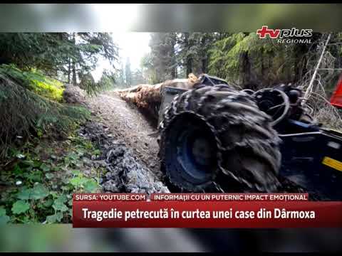 Tragedie petrecută în curtea unei case din Darmoxa