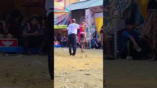 Download lagu penonton kesurupan endang jaranan #ndadi #shorts #subscribe mp3 Download lagu penonton kesurupan endang jaranan #ndadi #shorts #subscribe mp3