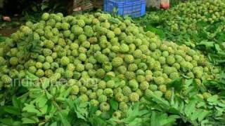 Sitaphal Market, Mandu 