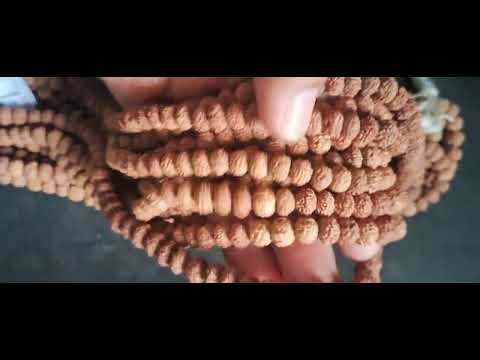 Sevn face mala,7 Mukhi Rudraksha Mala,7 Face rudraksha Mala,Java 7mukhi mala