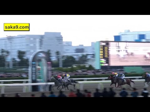 2019 東京大賞典 オメガパフューム M.デムーロ 大井競馬場 現地撮影