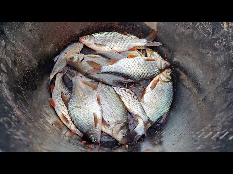 Nowy Duninów Spławik na Porcie