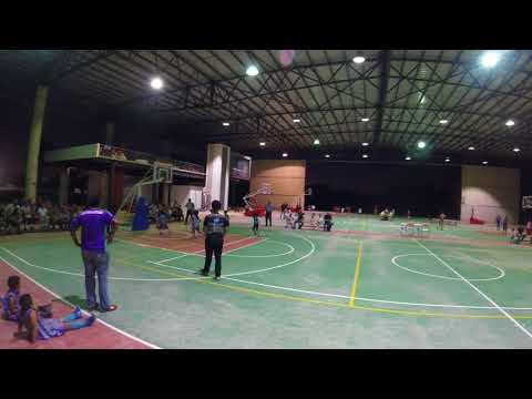 EDUCREA VS AVISPONES