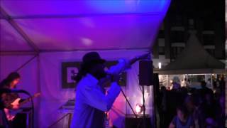 Hector Morton and Friends feat  Rasta Pacey - Wild World - Live. 2014