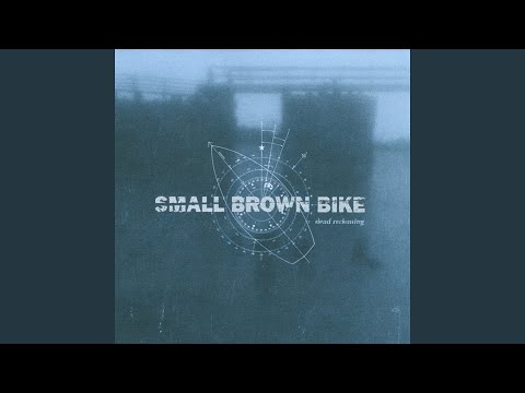 The Vacuum - Small Brown Bike