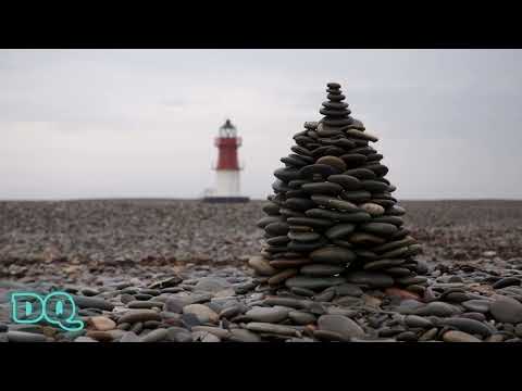 Alien In Transit _ For the Horizon