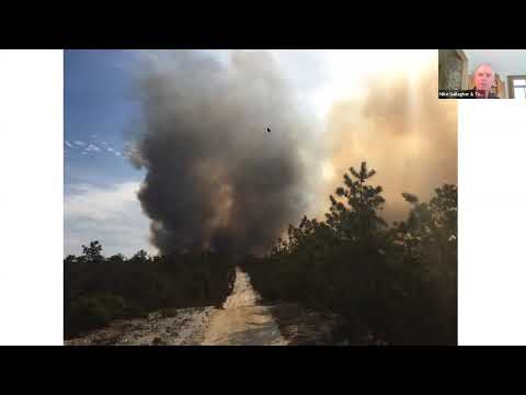 Spring Hill Fire and QUIC-Fire Model Simulation | Prescribed Fire Science Workshop Webinar Series