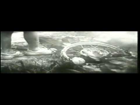 film - "Cloud over paradise"